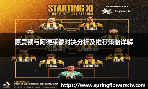 惠灵顿与阿德莱德对决分析及推荐策略详解